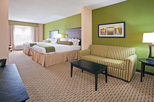 Holiday Inn Express & Suites OPELIKA AUBURN
